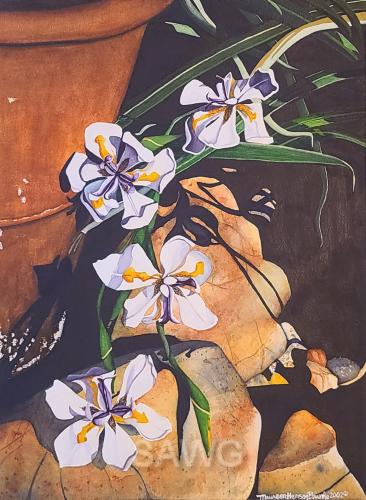 Daylilies 2 by Maureen Henson-Brunke
